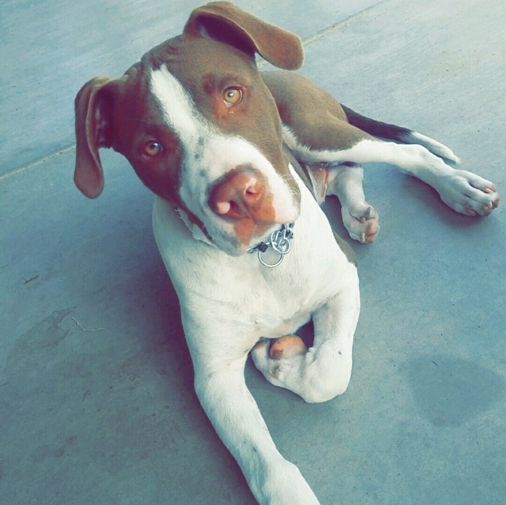 Meet your Posher, Gabe